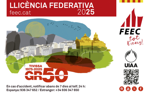 Targeta federativa 2025